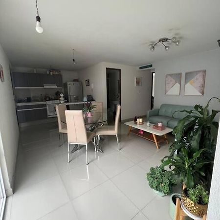 Departamento En Coyoacan Мехіко Екстер'єр фото
